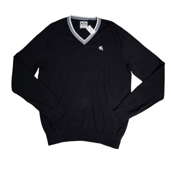 NWT Express V-Neck Men's Sweater Size Large - Picture 1 of 7